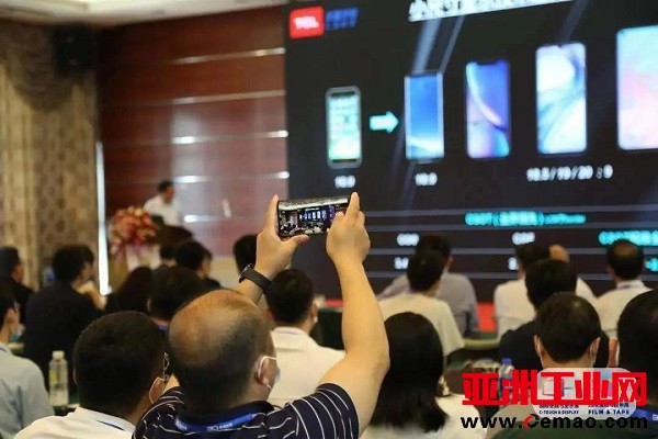 图片8