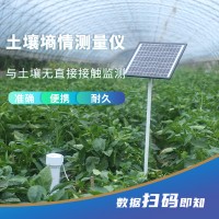 管式土壤温湿度监测仪北海灵犀厂家可定制参数