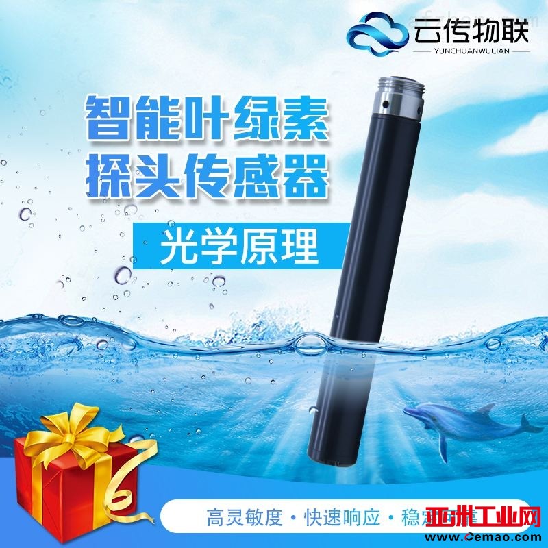 叶绿素1