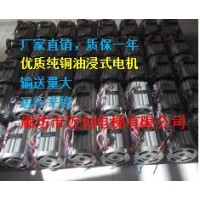 厂家直销2.2KW单项220V沉油式电机