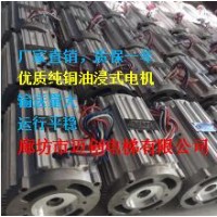 厂家直销2.2KW单相220V油浸式电机