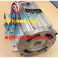 厂家直销4KW侵油式电机