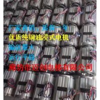 厂家直销5.5KW油浸式电机