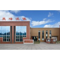 气体质量流量计