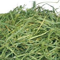 青岛梯牧草进口清关报关