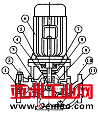 图片46  IRG