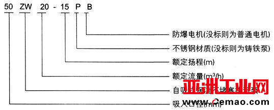 图片30