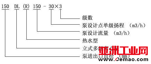 图片31