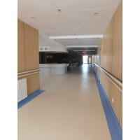 雅乐福塑胶地板 走廊PVC地胶 净化室同质透心地板 防滑耐磨