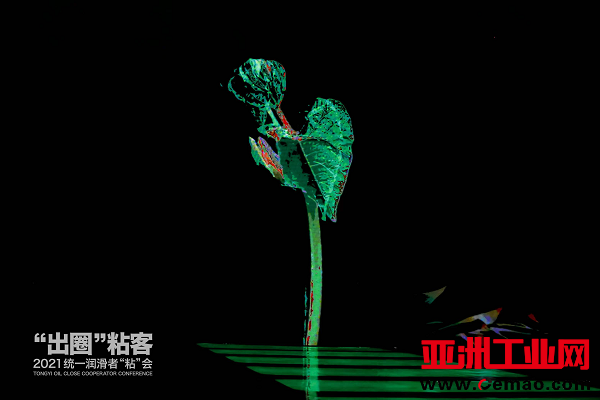 图片6