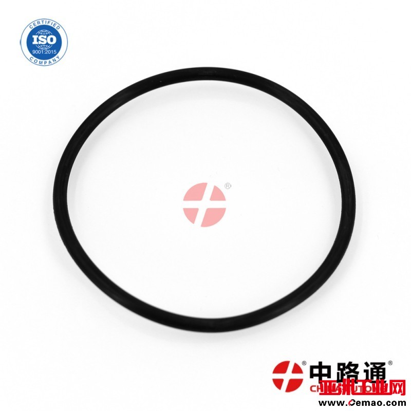 o-ring-for-yanmar (5)