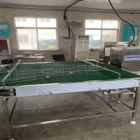 翰润渤SDPT-500型收蛋平台 多功能输送机 鸡蛋输送设备