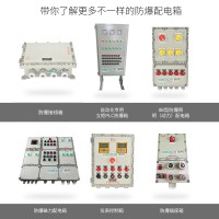 BXX51-8KExdIICT6Gb防爆动力检修箱