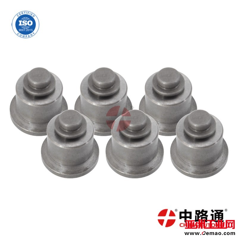 1-418-522-055-Diesel-Delivery-Valve (15-6)