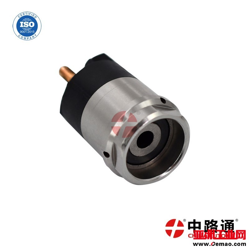Fuel-Injector-Assy-Solenoid-Valve-Set (14)