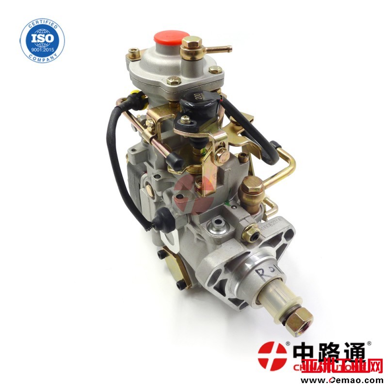 VE-Pump-Assembly-NJ-VE4-11E1600R015 (1)