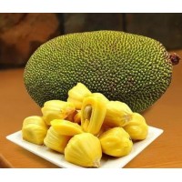 菠萝蜜一般人不告诉他的清关注意事项