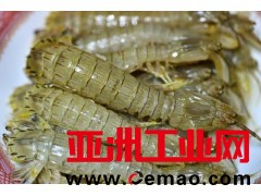 皮皮虾进口清关报关流程