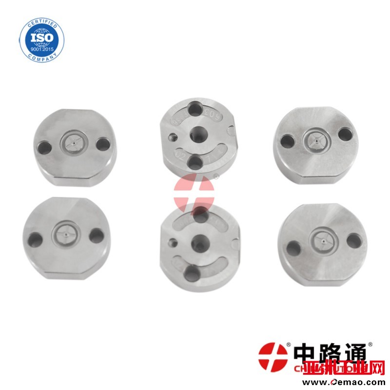 Common-Rail-Injector-Valve-Plate (4)