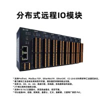 EtherNet/IP远程DDC控制器扩展分布式I/O模块