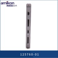 1C31113G02 模拟输入电子模块
