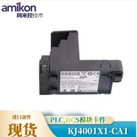 ICS T8311C扩展器接口模块