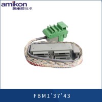 PLC 16147-51-2 acm过渡模块