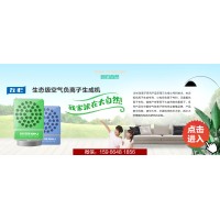 负氧离子发生器负离子机空气净化器家用