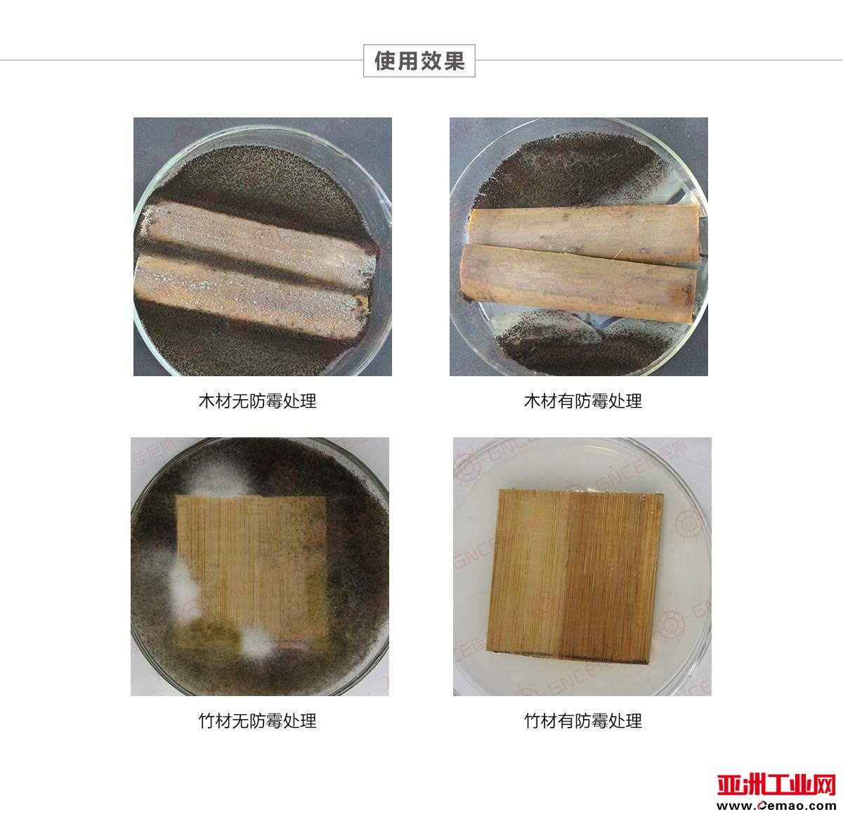 b_4186340_201807071059323764