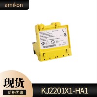 P0960HA REV-0T控制处理器