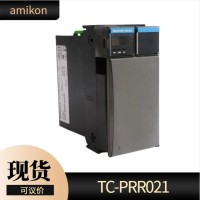 DCS模块CC-GAOX11