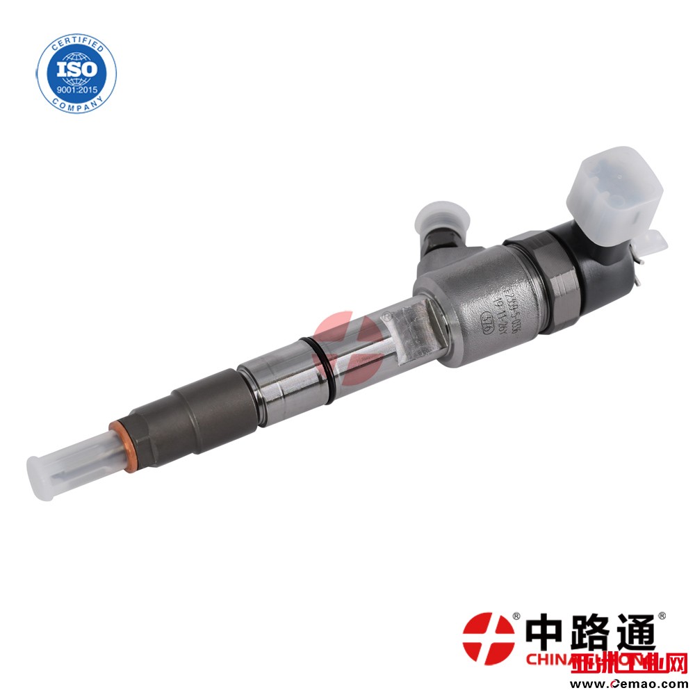 Injector-common-rail-0445110446-buy (9)
