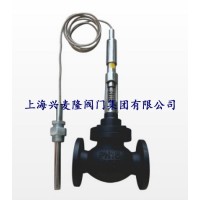 兴麦隆自力式温度调节阀