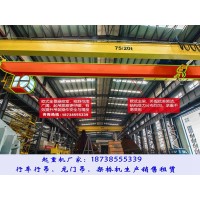山东德州行车行吊销售厂家10吨22.5米欧式双梁起重机
