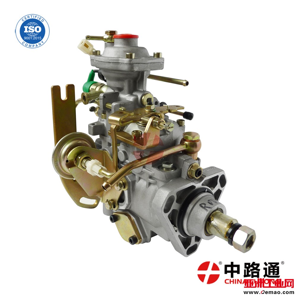 injection-pump-assembly-NJ-VE4-12E1650R005 (2)