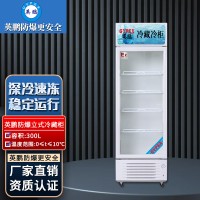 防爆冰箱-冷藏300L-BL-200LC300L