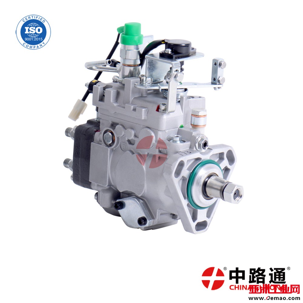 VE-pump-assembly-VE4-11E1150R173