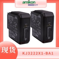 轴振监测模块 A6110 艾默生