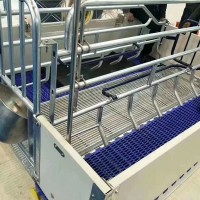 养猪场母猪产床欧式双体产床整体热寝锌大架