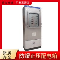 正压防爆配电柜 PLC防爆柜 防爆变频控制柜