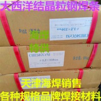 CHE507CrNi大西洋结晶粒钢焊条