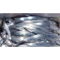 三分钟了解巴基斯坦带鱼水产进口清关操作流程