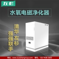 左杉新型水氧电磁空气净化器家用去甲醛室内机除粉尘二手烟神器