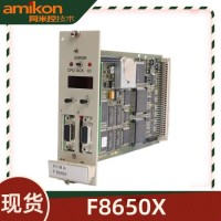F8650X 黑马 气体监测器