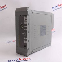 ICS TRIPLEX T8110B 数字量输入模块
