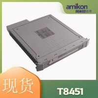 T8461  开关量输入模块 ICS
