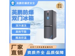 英鹏防爆冰箱双温冷藏冷冻冰柜生物低温剂试剂储存保存箱