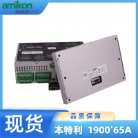 330930-065-01-05本特利电涡流探头