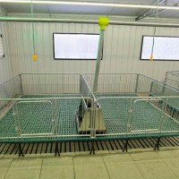塑料漏粪板保育床猪场保育床畜牧养殖设备