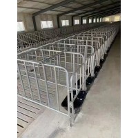 定位栏母猪定位栏猪舍定位栏尺寸